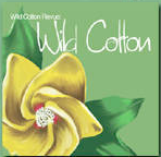 Welcome to Wild Cotton Revue Acoustic Blues Music